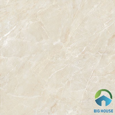 Gạch lát nền Viglacera 60x60 ECO-S622