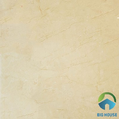 Gạch lát nền Viglacera 60x60 TQ-603