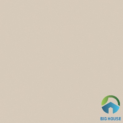 Gạch lát nền Viglacera 60x60 TS5-601