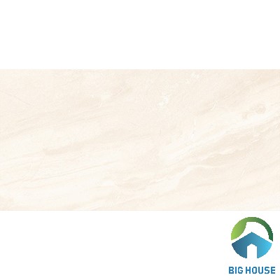Gạch ốp tường Tasa 30x60 3646