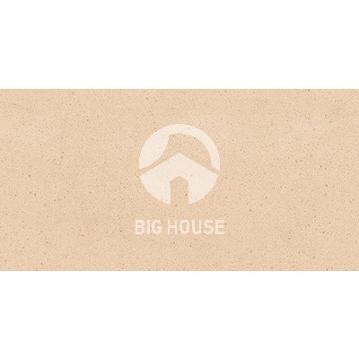 Gạch ốp tường Viglacera 30x60 UM3606