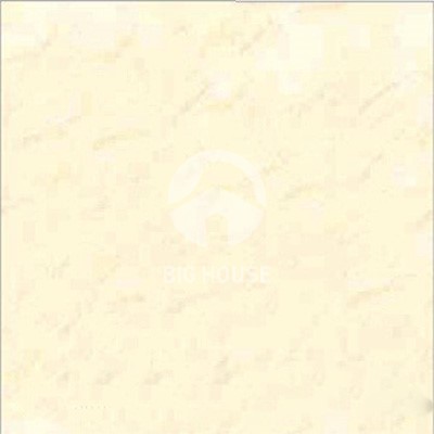Gạch lát nền Bạch Mã 60x60 HRP-6002