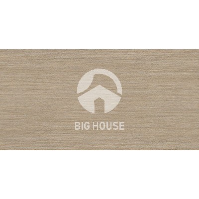 Gạch ốp tường Viglacera 30x60 SQ3602