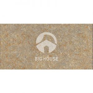Gạch ốp tường Viglacera 30x60 UB3662
