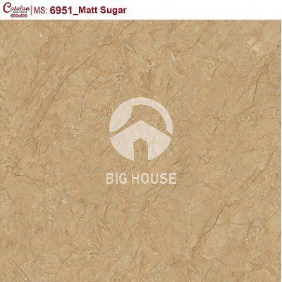 Gạch lát nền Catalan 60x60 6951