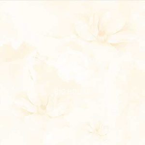 Gạch lát nền Hoàn Mỹ 60x60 6044