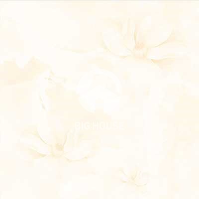 Gạch lát nền Hoàn Mỹ 60x60 6044