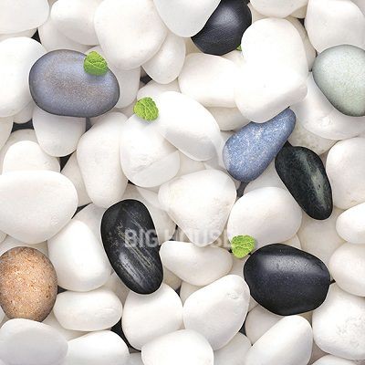 Gạch lát sân Prime 40x40 9220