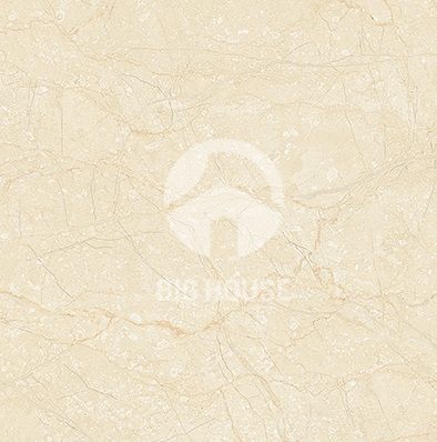 Gạch lát nền Prime 50x50 9363