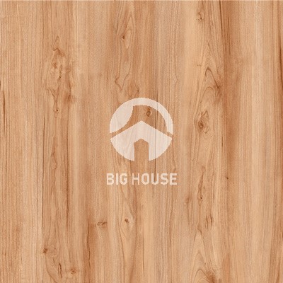 Gạch lát nền Royal 50x50 3D5502