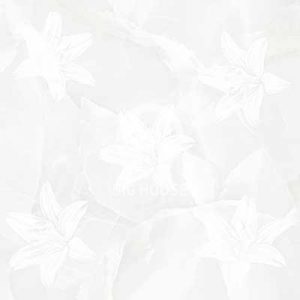 Gạch lát nền Royal 50x50 KTSHP5502