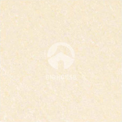 Gạch lát nền Taicera 60x60 P67703