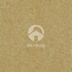 Gạch lát nền Taicera 60x60 P67771N