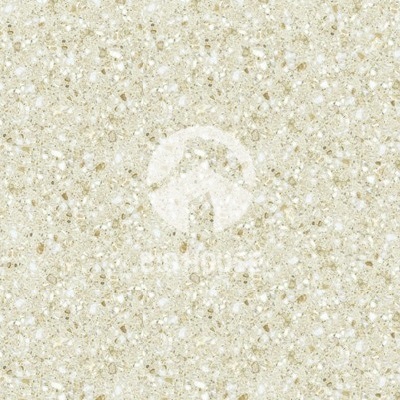 Gạch lát nền Tasa 50x50 5001