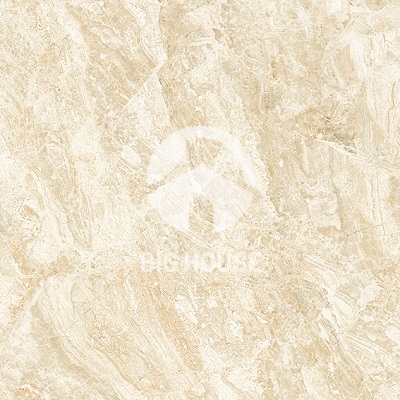 Gạch lát nền Tasa 80x80 8105
