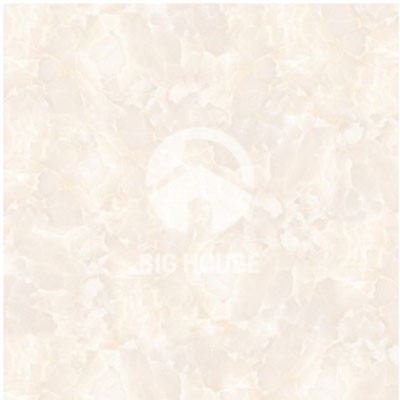 Gạch lát nền TTC 60x60 FB66003