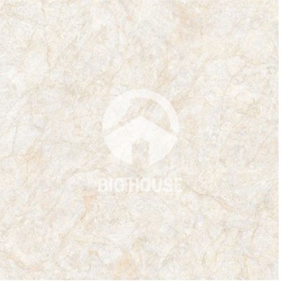Gạch lát nền TTC 60x60 FB66007
