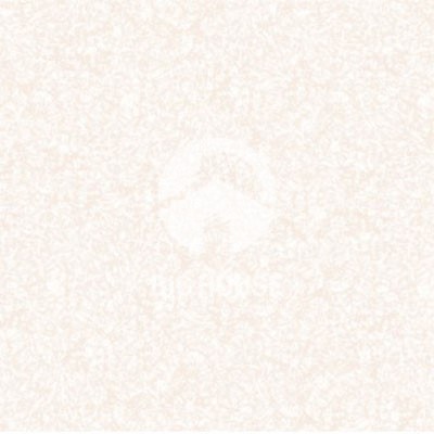 Gạch lát nền TTC 60x60 FB66015