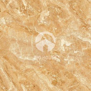 Gạch lát nền Viglacera 50x50 H501