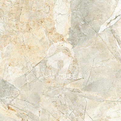 Gạch lát nền Viglacera 50x50 H502
