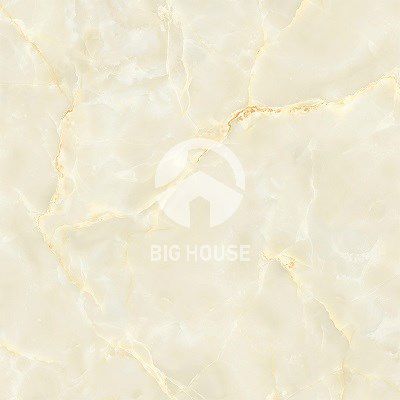 Gạch lát nền Viglacera 50x50 H505