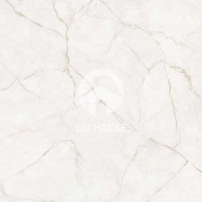 Gạch lát nền Ý Mỹ 80x80 P88020C
