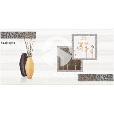 Gạch ốp tường TTC 30x60 CDB36043