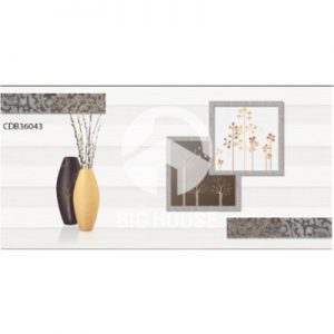 Gạch ốp tường TTC 30x60 CDB36043