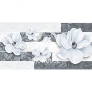 Gạch ốp tường TTC 30x60 DB36063