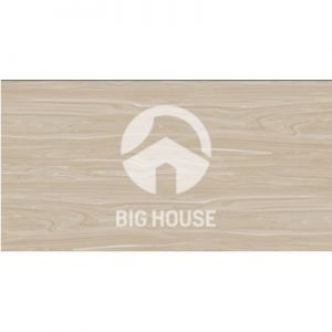 Gạch ốp tường TTC 30x60 WB36070