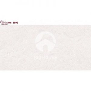 Gạch ốp tường Catalan 30x60 3995