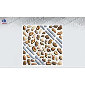 Gạch lát nền CMC 30x30 DGS 3032