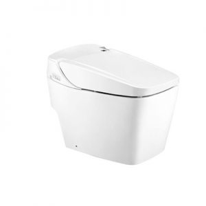 Bồn cầu 1 khối Cotto C10237