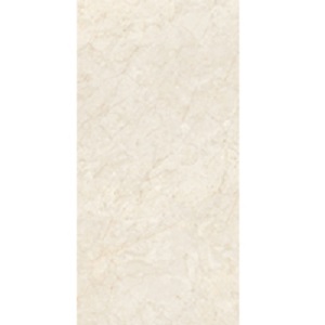 Gạch lát nền Đồng Tâm 40x80 4080FANSIPAN007-H+