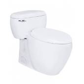 TOTO - MS366T7