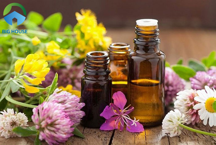 Hương thơm tinh dầu xử lý Bồn cầu bị hôi
