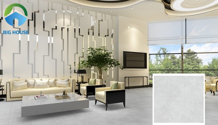 gạch giả đá Đồng Tâm 6060MOMENT010 kích thước 60x60