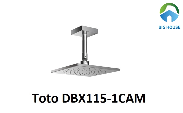 Sen âm trần Toto DBX115-1CAM