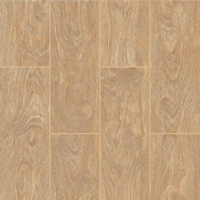 Gạch lát nền Hoàn Mỹ 60x60 6403