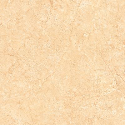 Gạch lát nền Prime 50x50 17106
