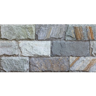 Gạch ốp tường Prime 25x50 9101