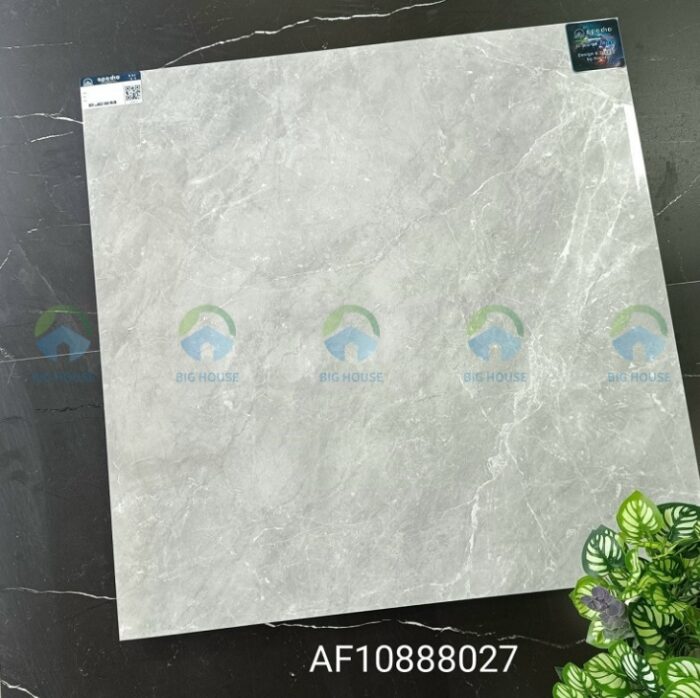 Gạch lát nền Apodio 80x80