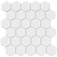 MGTT019