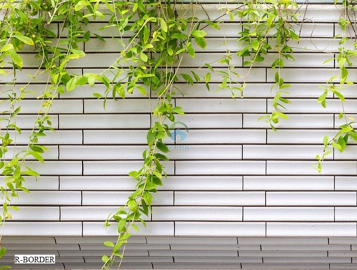 Mẫu gạch ốp tường Inax R - Border màu trắng lõm bề mặt