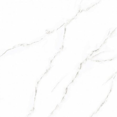 Gạch lát nền Prime 100x100 21003