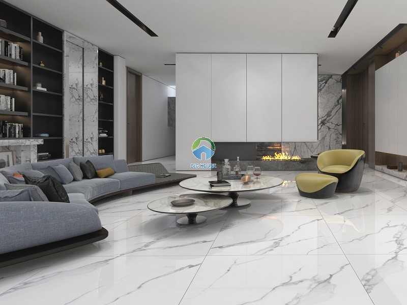 Mẫu gạch lát phòng khách khổ lớn Tasa 1009 100x100