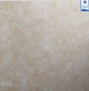 Gạch Viglacera 60x60 B6005