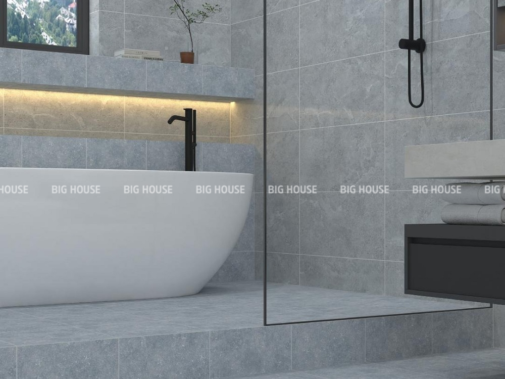 Mẫu gạch Đồng Tâm 3030GECKO006 xương đá