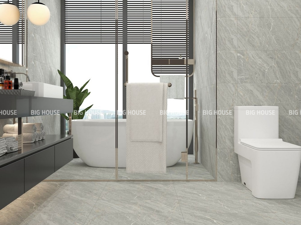 Mẫu gạch 3060HOANGLIENSON004 màu xám sáng