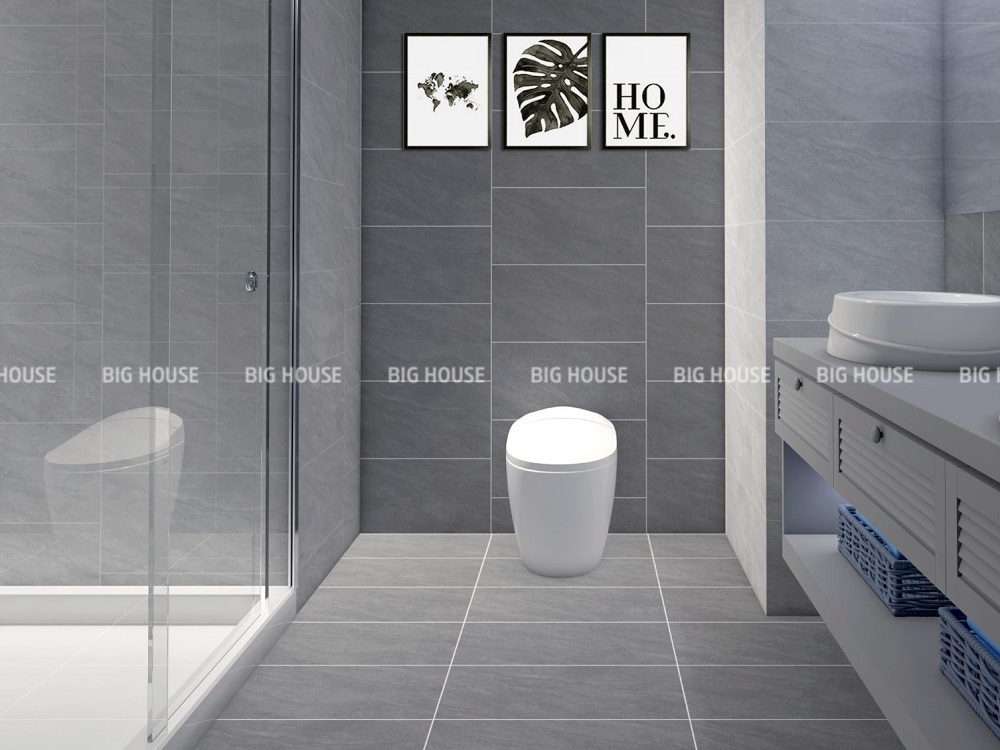 Gạch Đồng Tâm 3060NOBLE005-H+